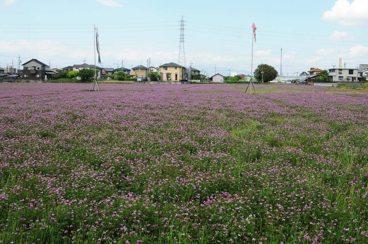 家づくりをするときの土地探しポイントは？一宮市周辺の土地情報も