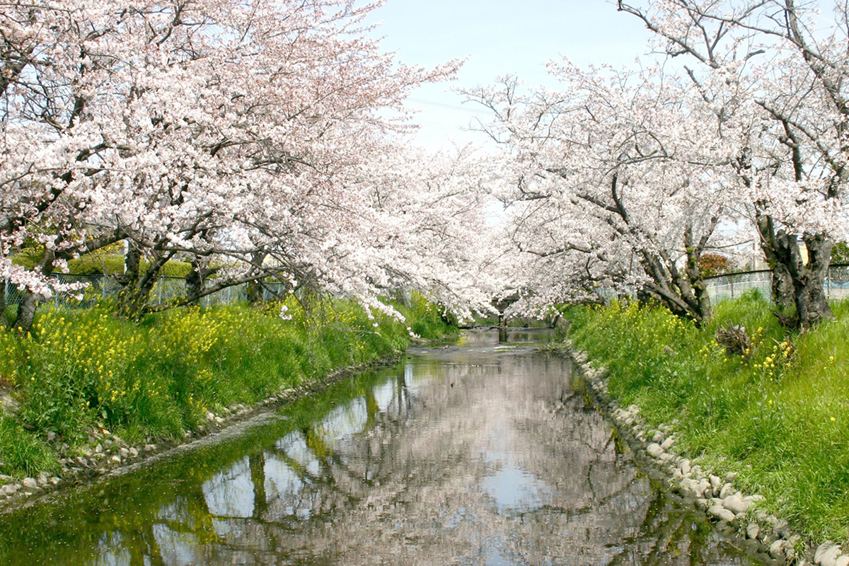 愛知県一宮市で注文住宅を建てるなら防犯対策が最重要!子どもと家族を守る安全な住まいとエリア選び