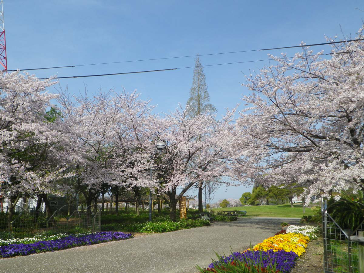 名古屋の暑さ・寒さにもう悩まない!気候に強い快適な家をつくる住宅性能の選び方