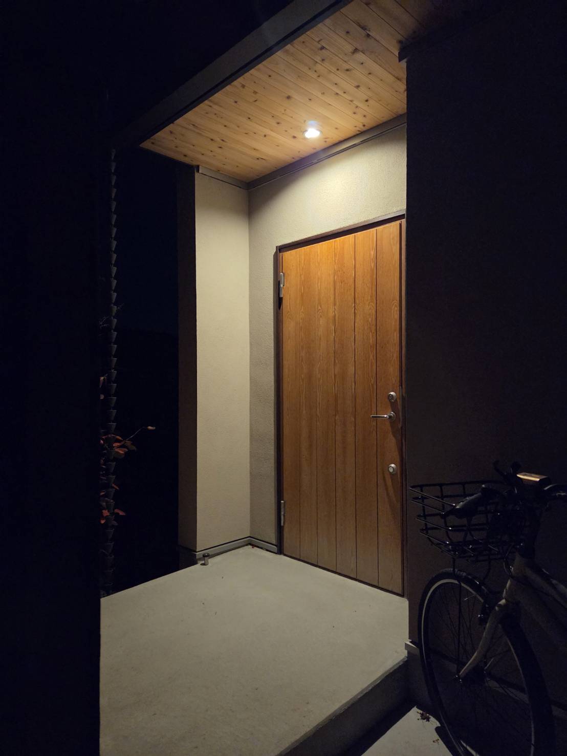 2025年もありがとうございました🐍